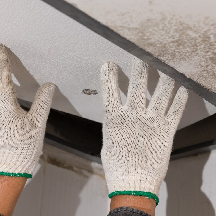 Remodeling and water damage restoration in Birmingham, AL